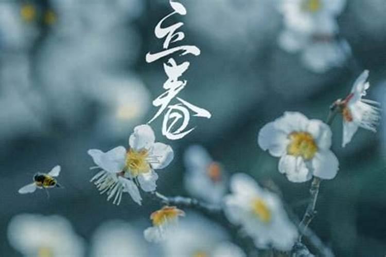 犯太岁去寺庙还是道观？