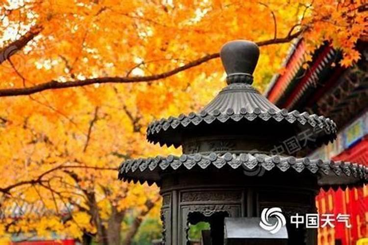 1952年属龙人晚年命运