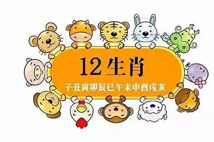 9月属鼠的人命好吗 属鼠九月份出生的命运怎么样