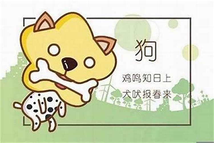94属狗终身的大劫年 运势及运程？