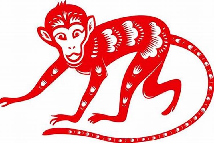 梦见白马是什么寓意
