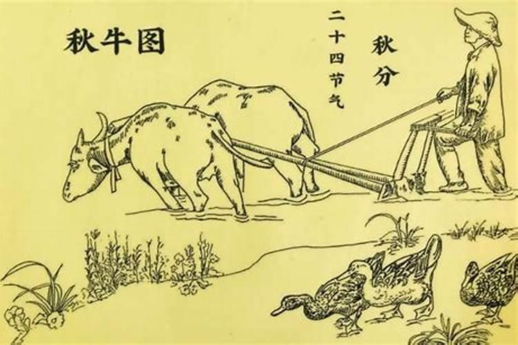 今年冬至是几月几日几点几分