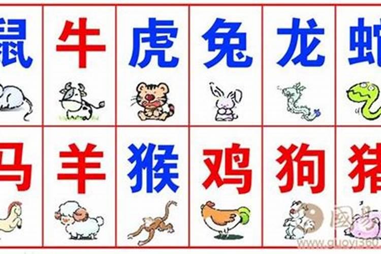 生肖顺序排列