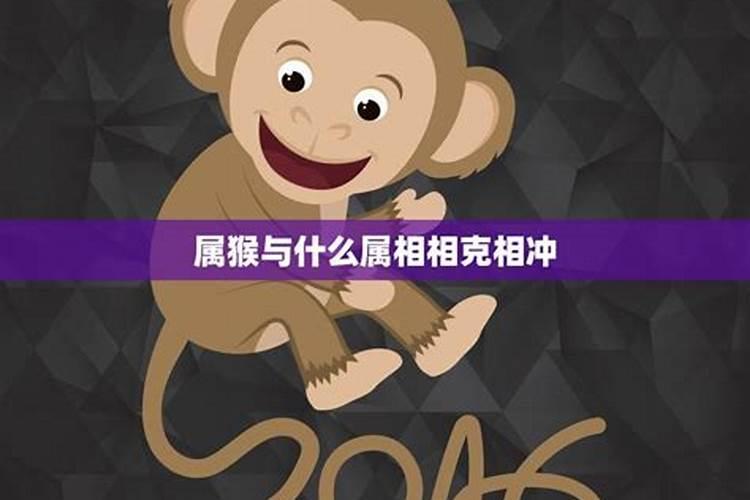 属猴和什么属相相克？
