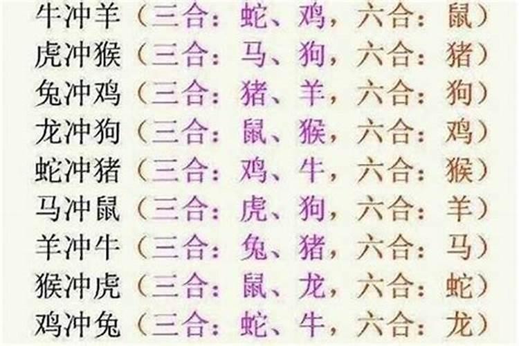 属虎和什么属相相冲？