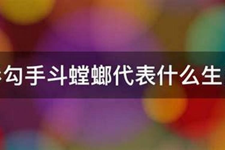 螳螂代表什么生肖？